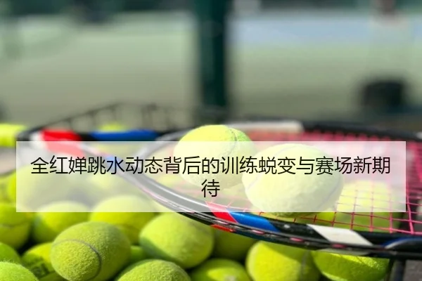 全红婵跳水动态背后的训练蜕变与赛场新期待