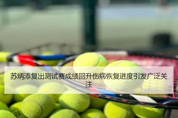 苏炳添复出测试赛成绩回升伤病恢复进度引发广泛关注